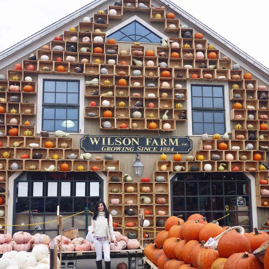 Wilson Farm New England Pumpkin Display