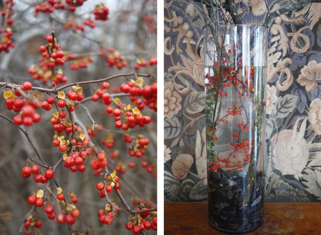 DIY forcing branches into bloom indoors arrangement